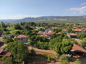 Beyağaç